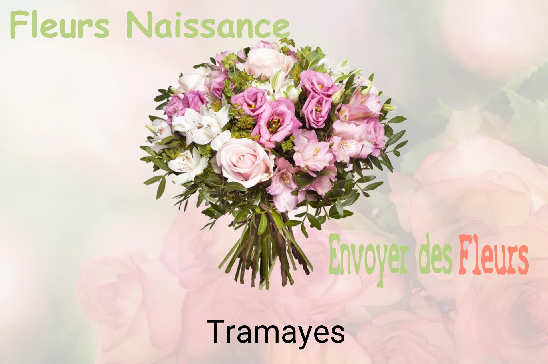 Bouquet de fleurs de naissance livré à Tramayes